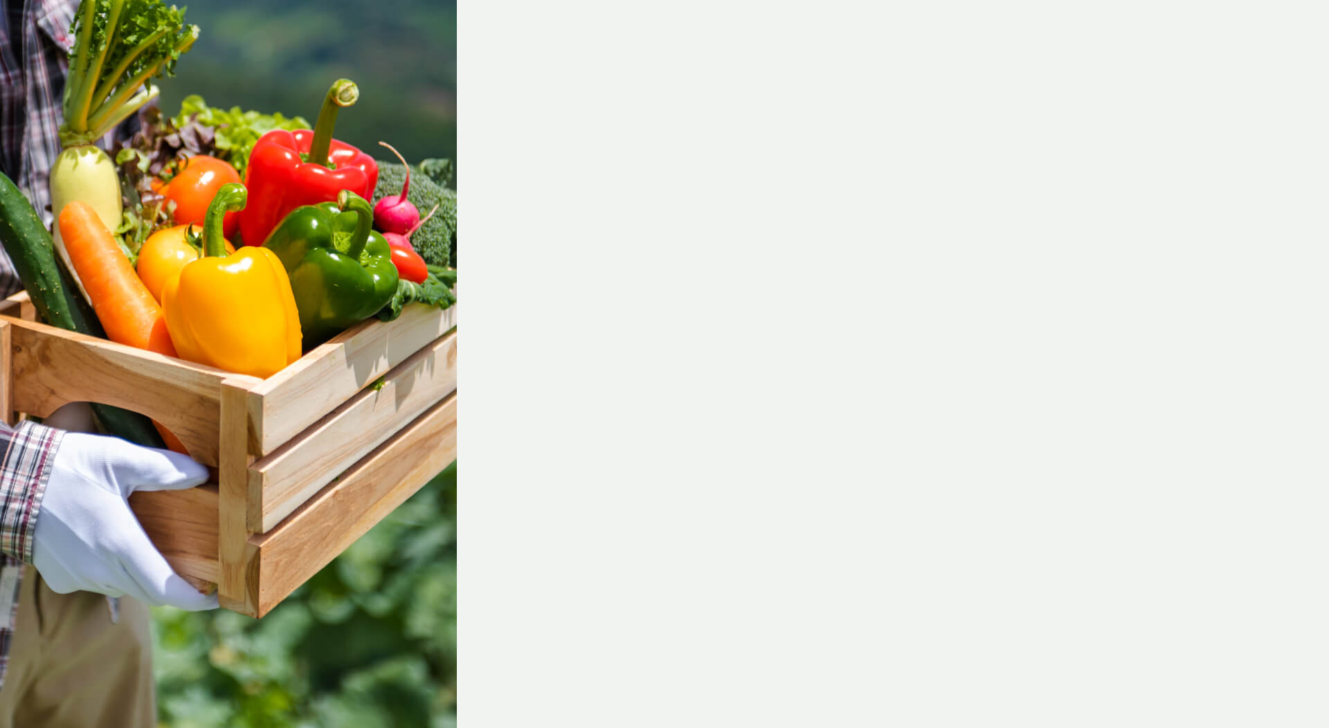 garden_c_img.jpg